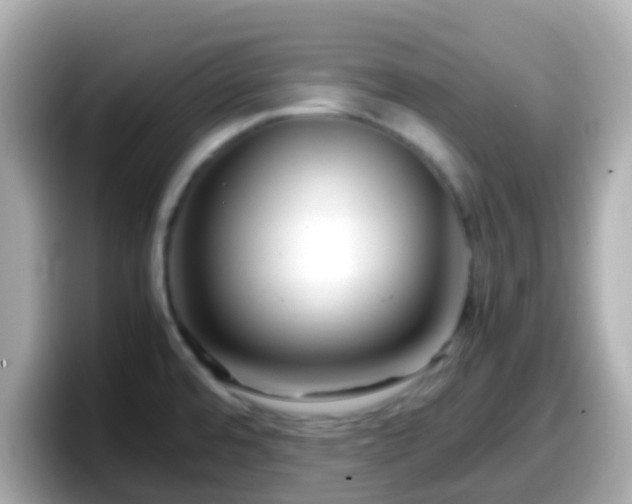 X0000098101480200804111013