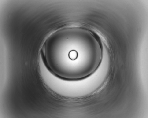 X0000098101481200804111013