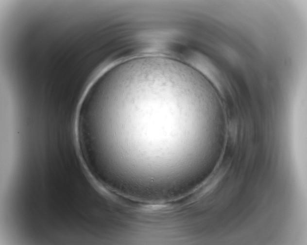 X0000098101482200804111013
