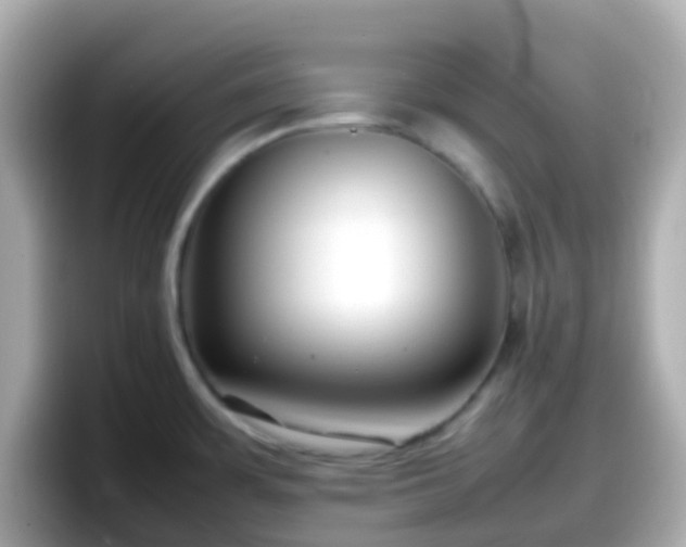 X0000098101483200804111013