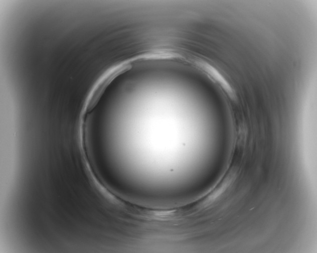 X0000098101484200804111013