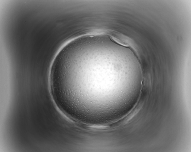 X0000098101487200804111013