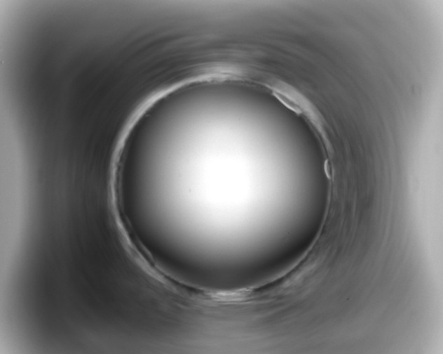 X0000098101488200804111013