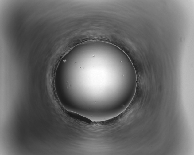 X0000098101489200804111012