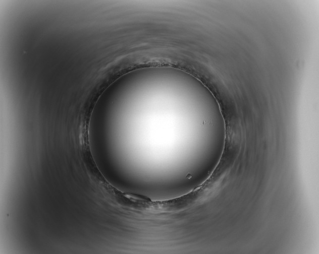 X0000098101490200804111012
