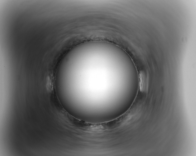 X0000098101491200804111012