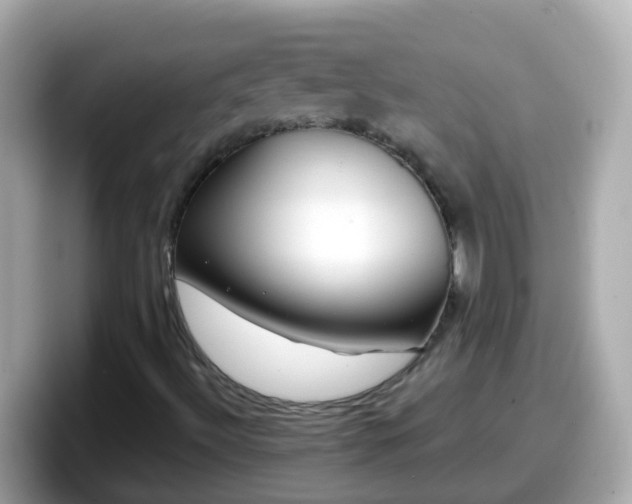 X0000098101492200804111012