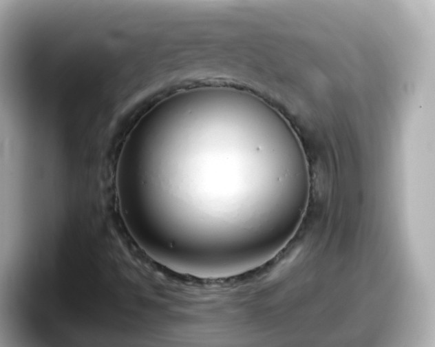 X0000098101494200804111012