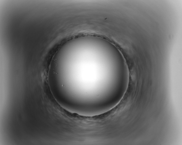 X0000098101495200804111012