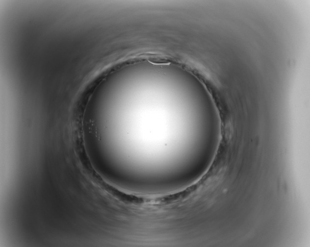 X0000098101496200804111012
