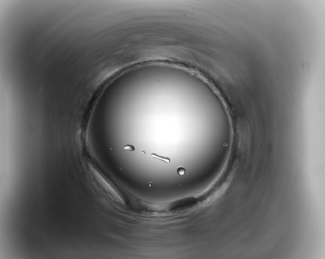 X0000098101497200804111012