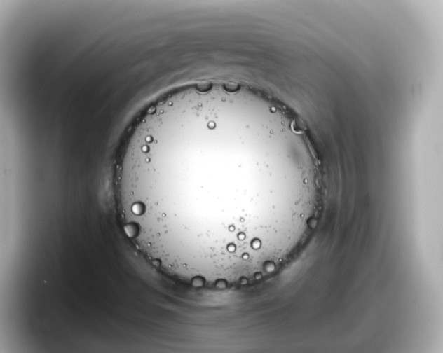 X0000098101498200804111012