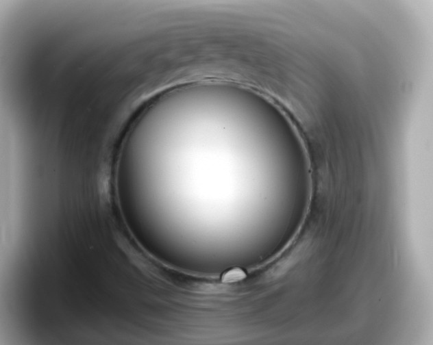 X0000098101499200804111012