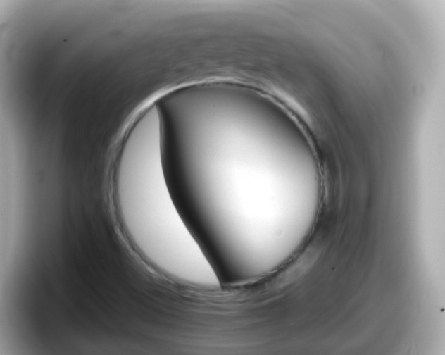 X0000098101500200804111012