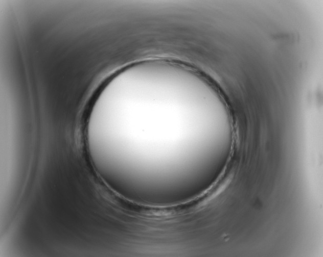 X0000098101501200804111012