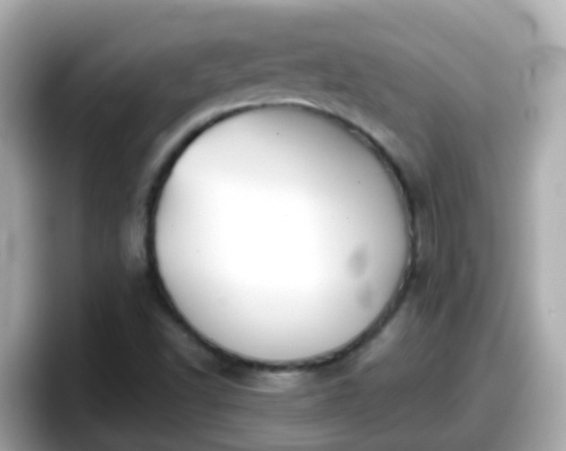 X0000098101502200804111012