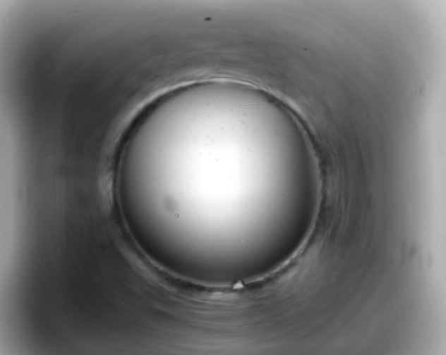 X0000098101503200804111012