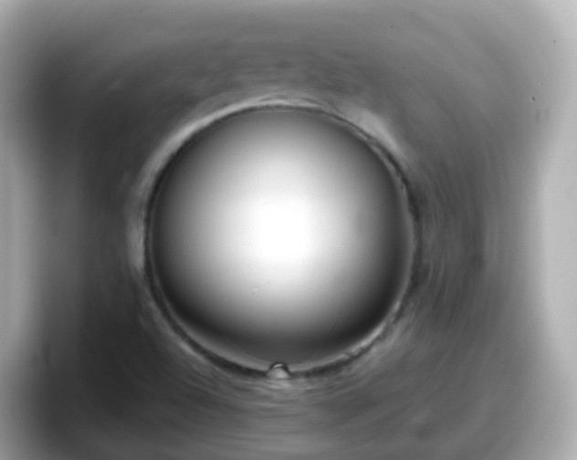 X0000098101504200804111012