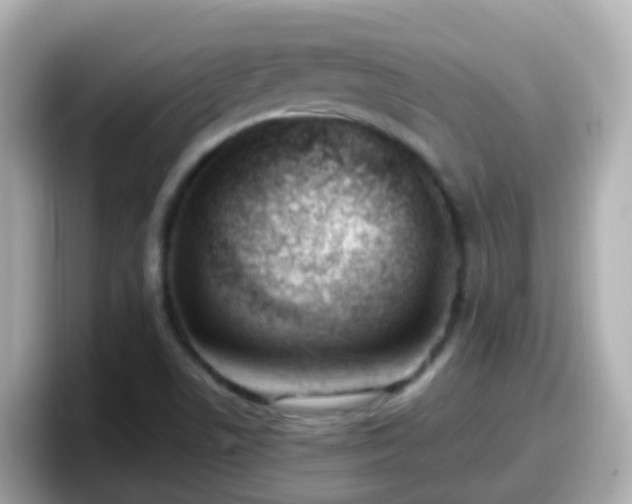 X0000098101506200804111012