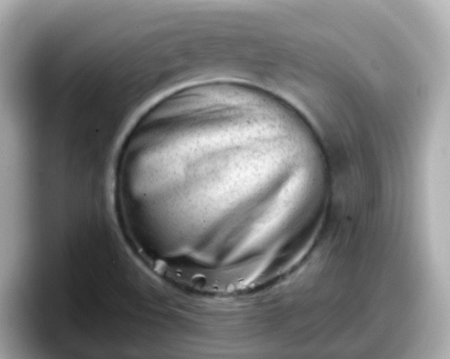 X0000098101508200804111012