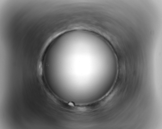 X0000098101509200804111012