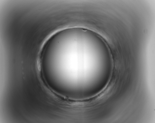 X0000098101510200804111012