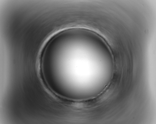 X0000098101511200804111012