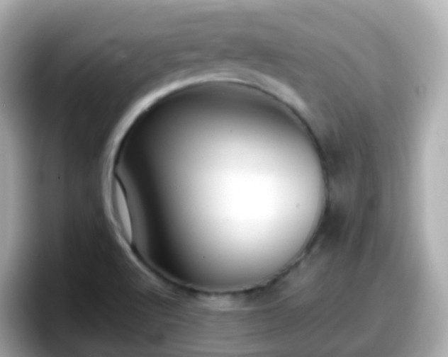 X0000098101512200804111012
