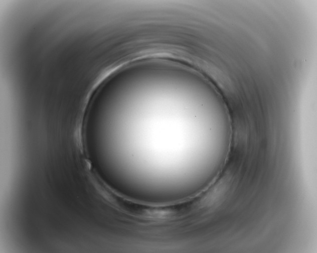 X0000098101513200804111012
