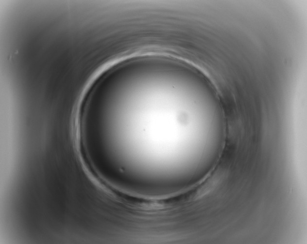 X0000098101515200804111012