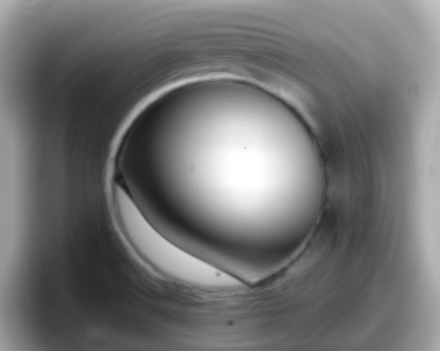 X0000098101516200804111012