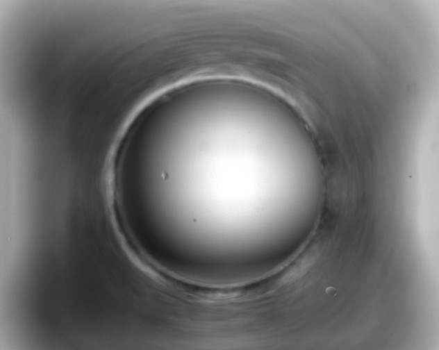 X0000098101519200804111012