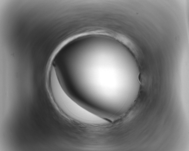 X0000098101520200804111012