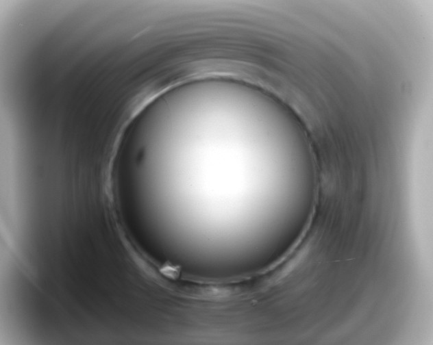 X0000098101521200804111012