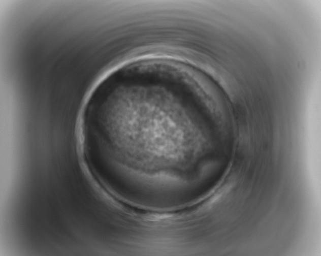 X0000098101522200804111012