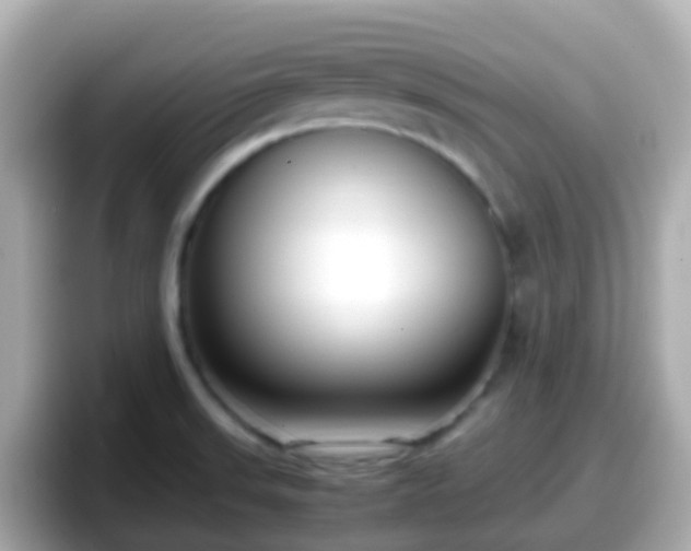 X0000098101523200804111012