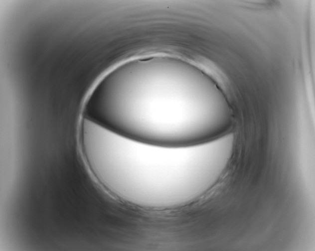 X0000098101524200804111012