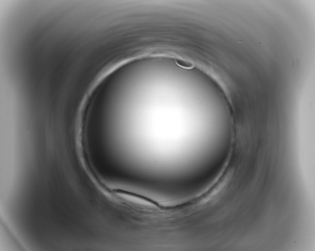 X0000098101525200804111012