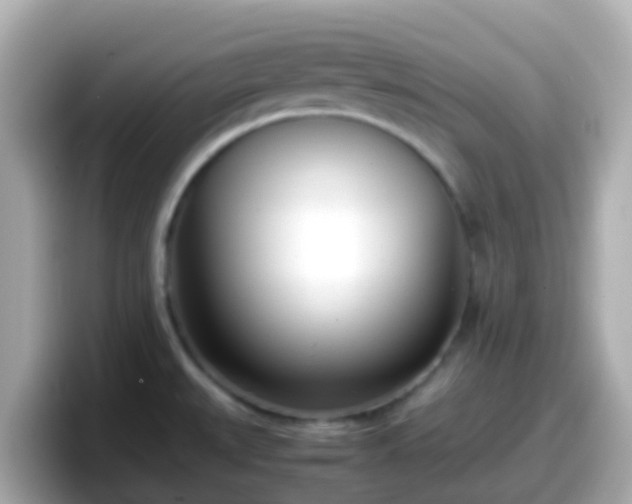 X0000098101527200804111012