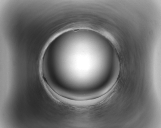 X0000098101528200804111012