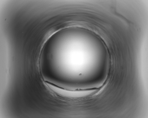 X0000098101529200804111012