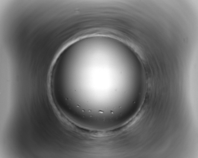 X0000098101530200804111012
