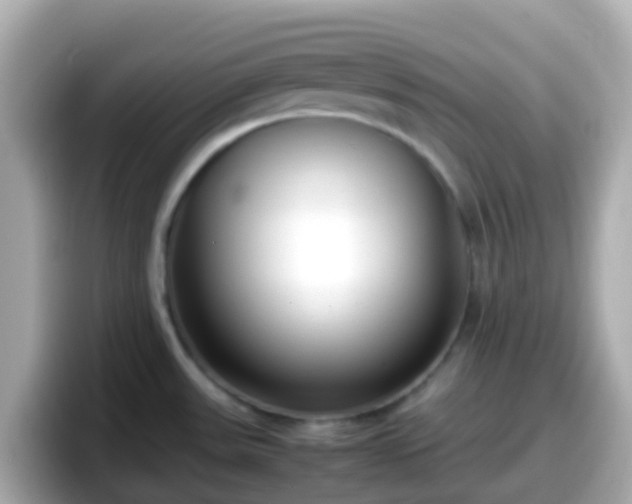 X0000098101531200804111012