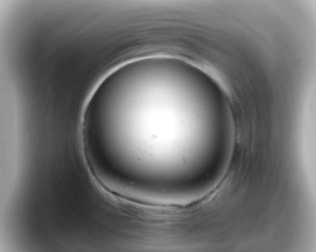 X0000098101532200804111012