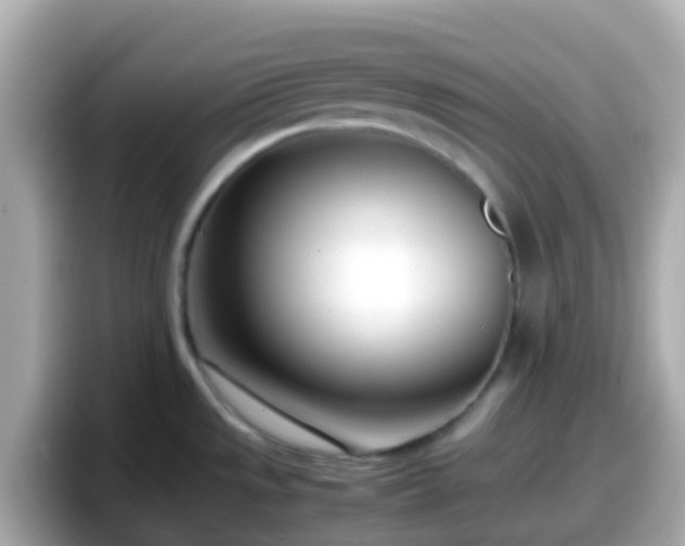 X0000098101533200804111012