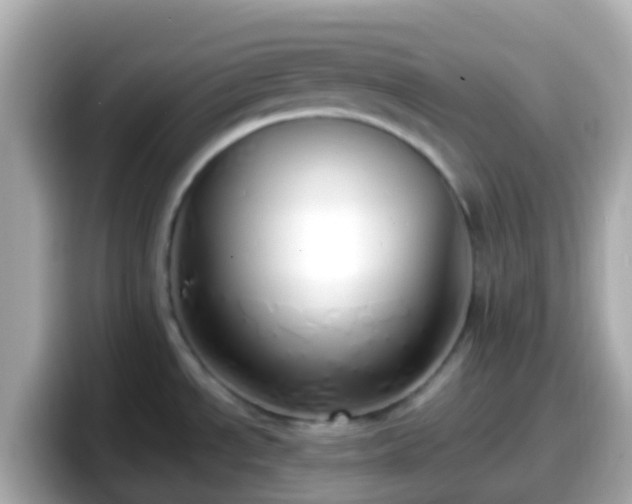 X0000098101534200804111012
