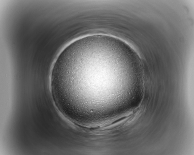 X0000098101535200804111012