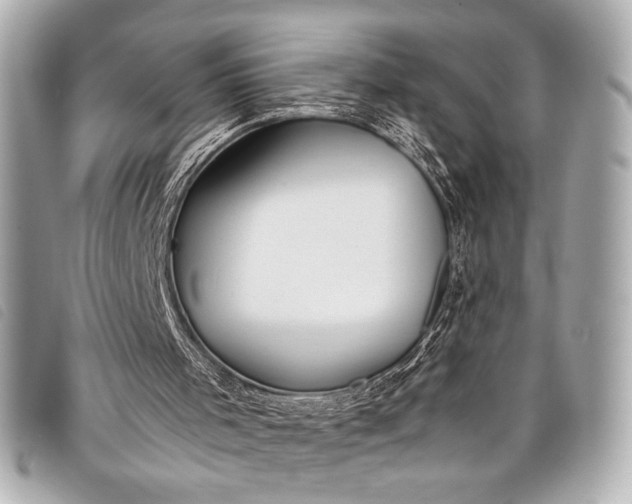 X0000098100001200804181437