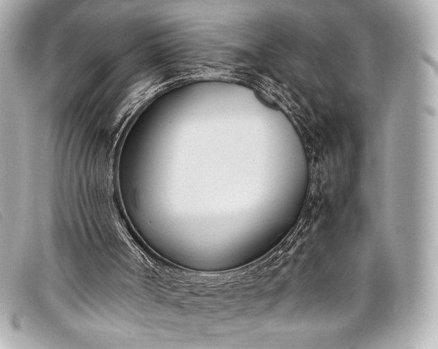 X0000098100002200804181437