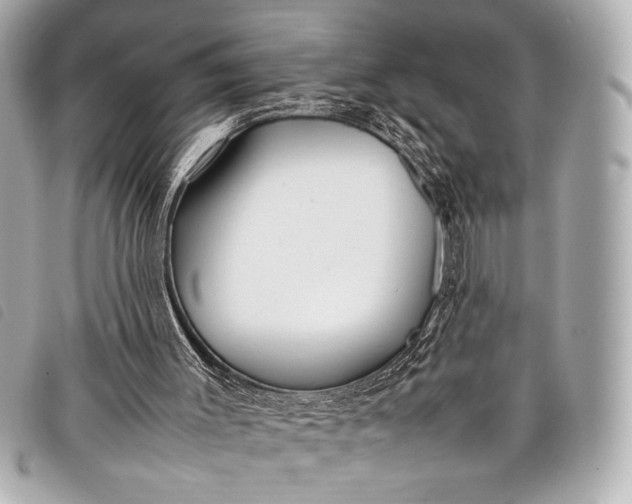 X0000098100003200804181437
